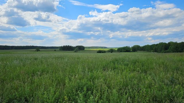 Działka rekreacyjna Zdory. Zdjęcie 5