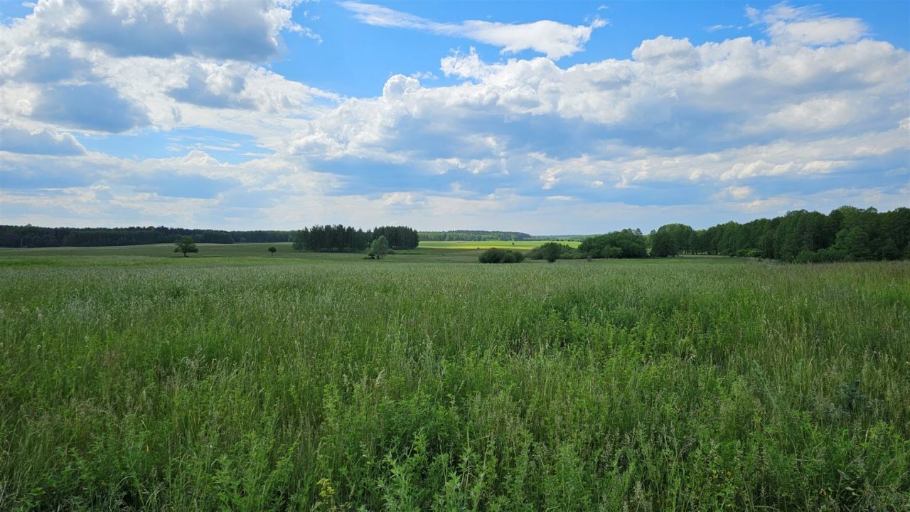 Działka rekreacyjna Zdory. Zdjęcie 5