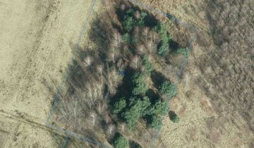 Działka leśna Nowa Jastrząbka Podsmykowe