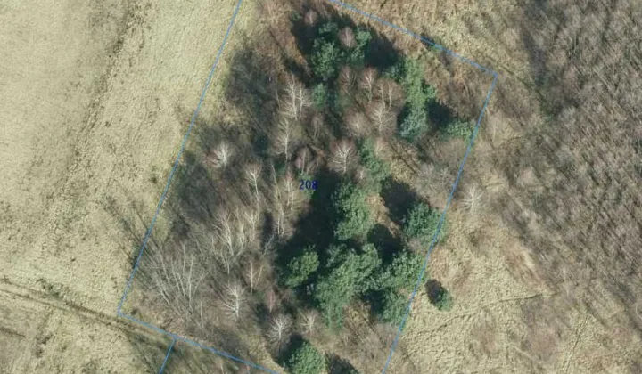 Działka leśna Nowa Jastrząbka Podsmykowe