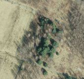 Działka leśna Nowa Jastrząbka Podsmykowe