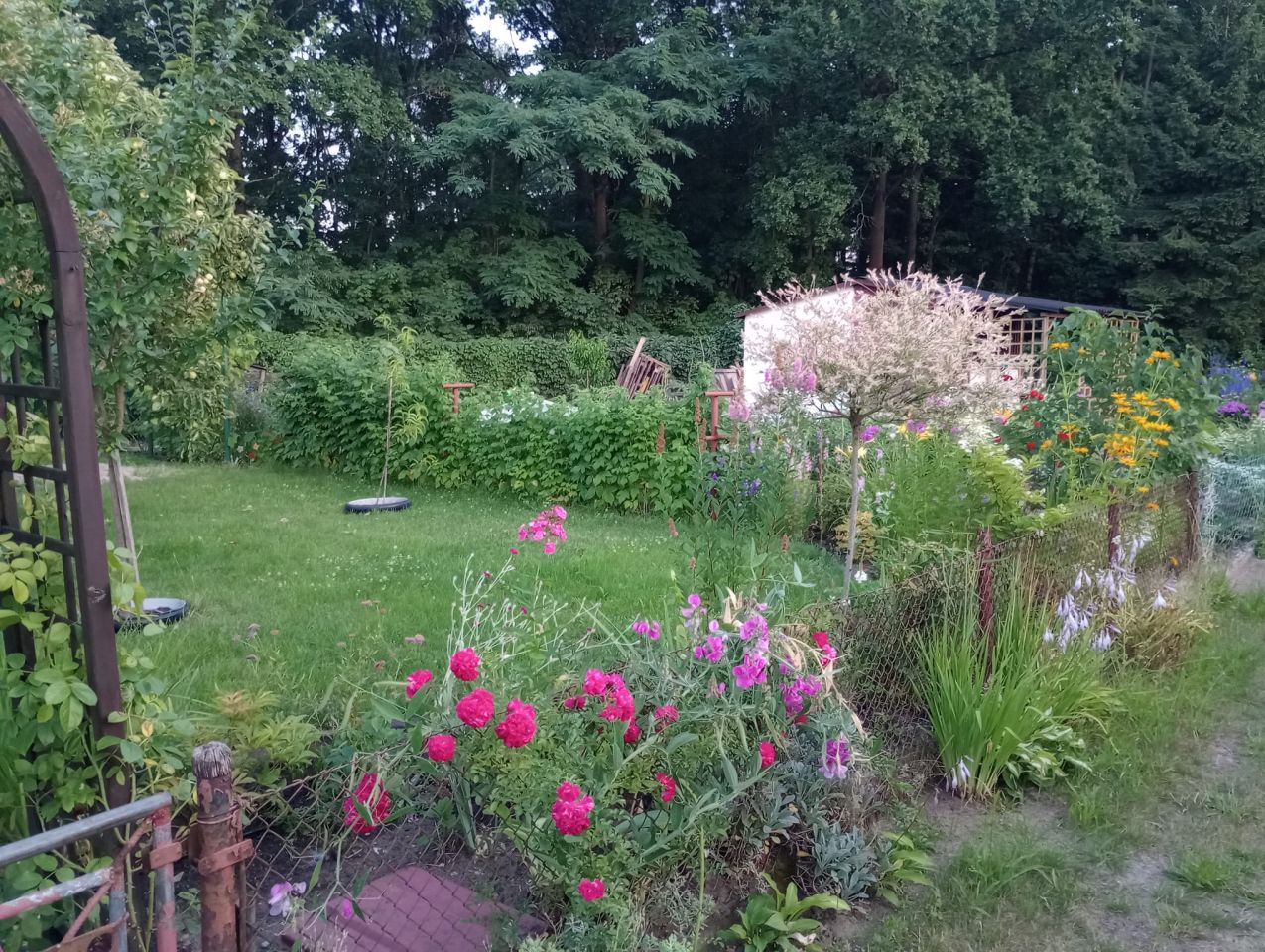 Działka rod Zielona Góra, ul. Osiedle Pomorskie. Zdjęcie 6