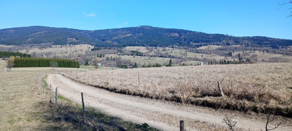 Działka rolna Jodłów. Zdjęcie 6