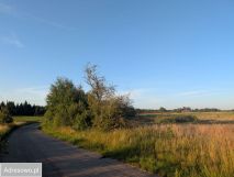 Działka rolno-budowlana Wilczyny. Zdjęcie 2