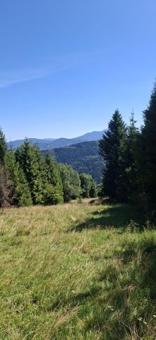 Działka rolna Sopotnia Wielka Góra. Zdjęcie 12