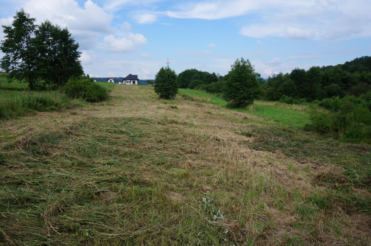 Działka budowlana Domaradz Miasteczko. Zdjęcie 5
