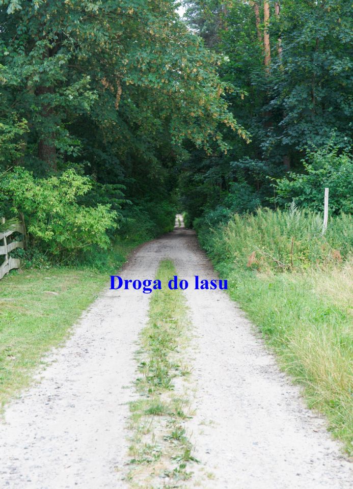 Działka rolno-budowlana Rudzienice. Zdjęcie 15