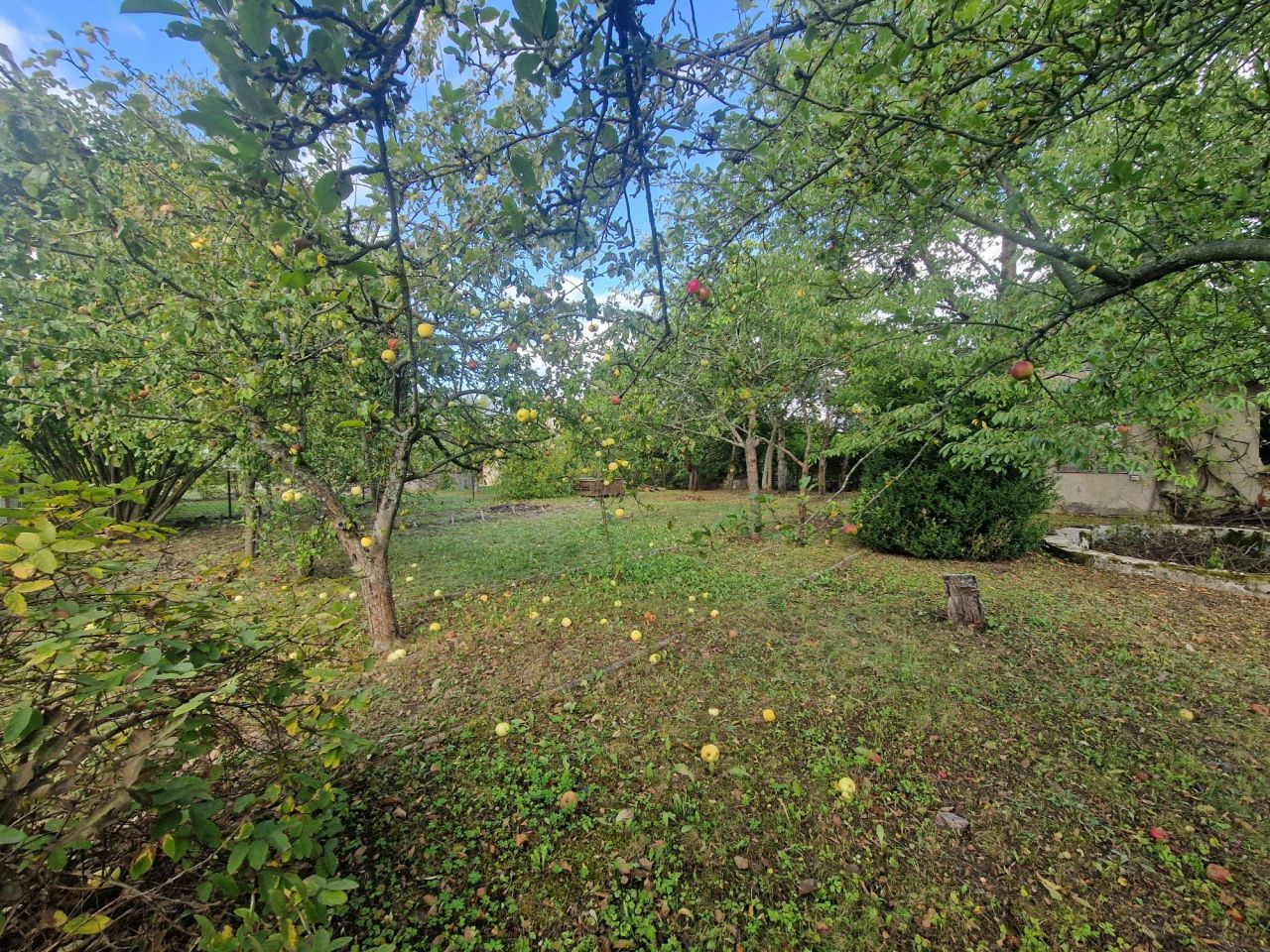 Działka rod Guty. Zdjęcie 5