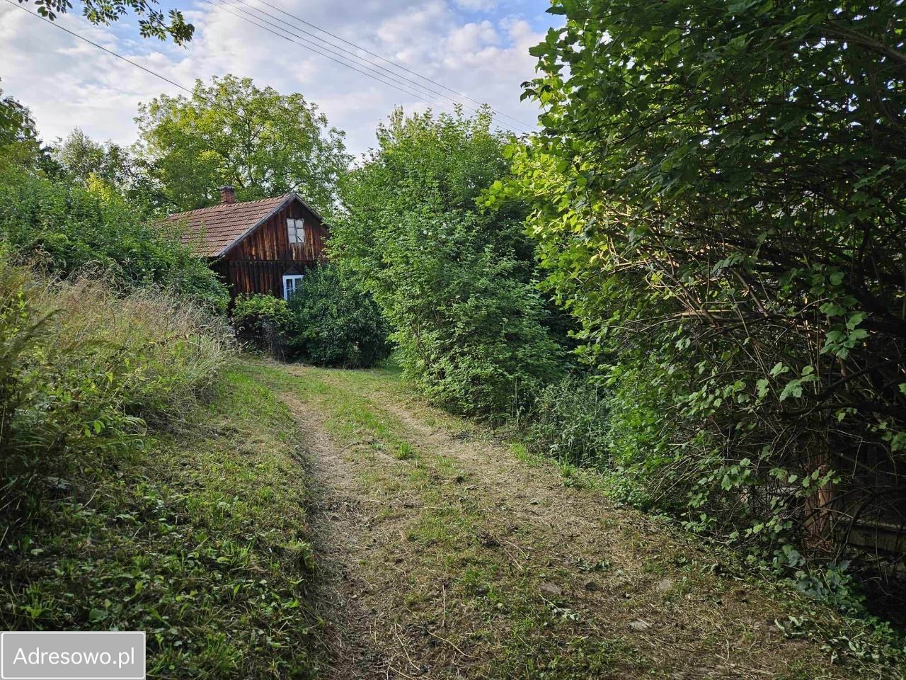 Działka rolno-budowlana Białawoda. Zdjęcie 3