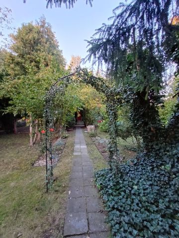 Działka rod Poznań Winogrady, ul. Kazimierza Pułaskiego. Zdjęcie 1