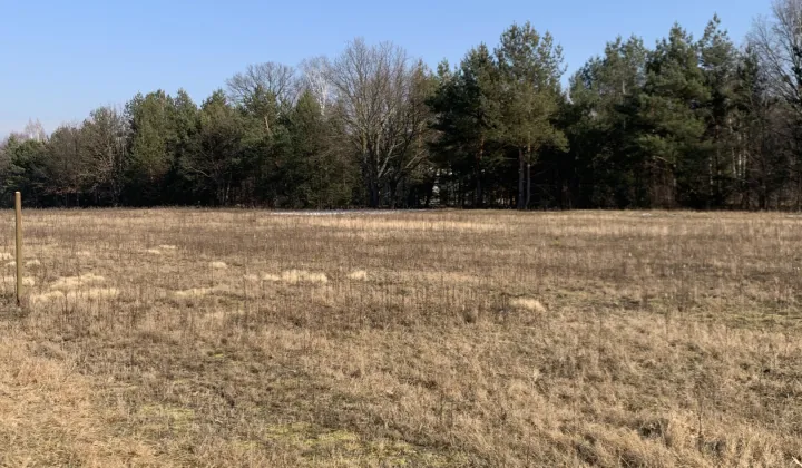 Działka budowlana Konotopa