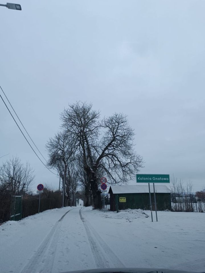 Działka budowlana Gnatowo kolonia. Zdjęcie 4