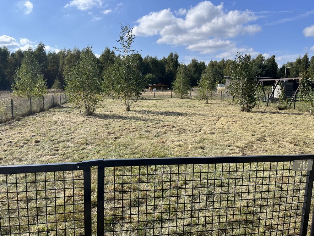 Działka rod Osuchów. Zdjęcie 7