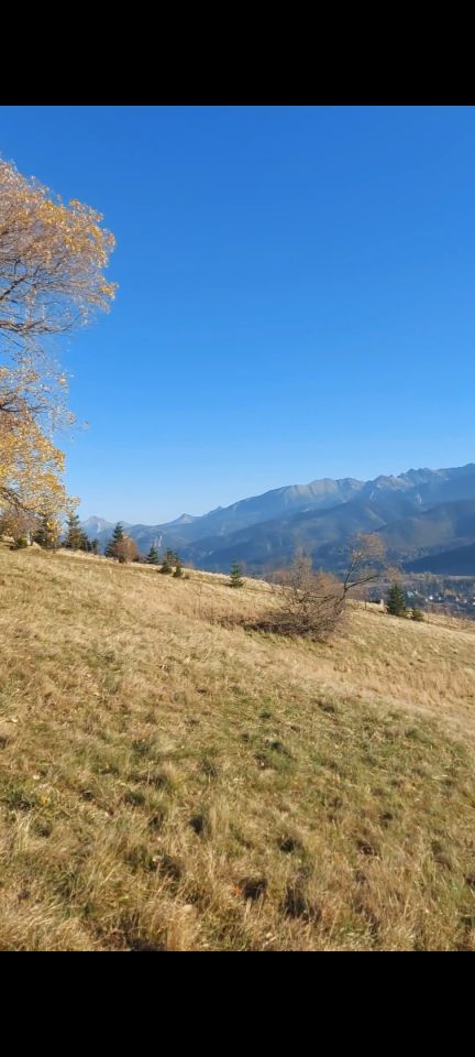 Działka inwestycyjna Kościelisko, ul. Mocarni Boczna. Zdjęcie 4