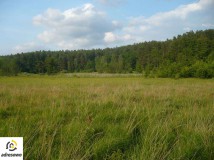 Działka rolna Bryńsk. Zdjęcie 2