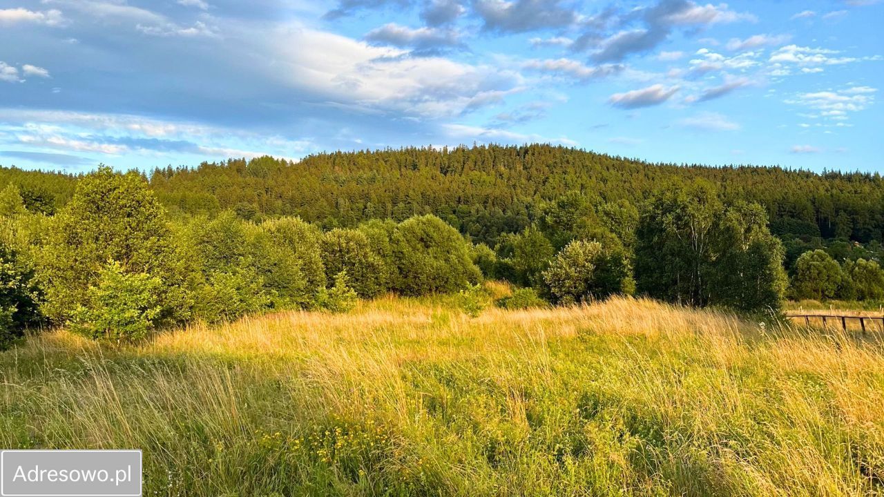 Działka budowlana Stronie Śląskie. Zdjęcie 8