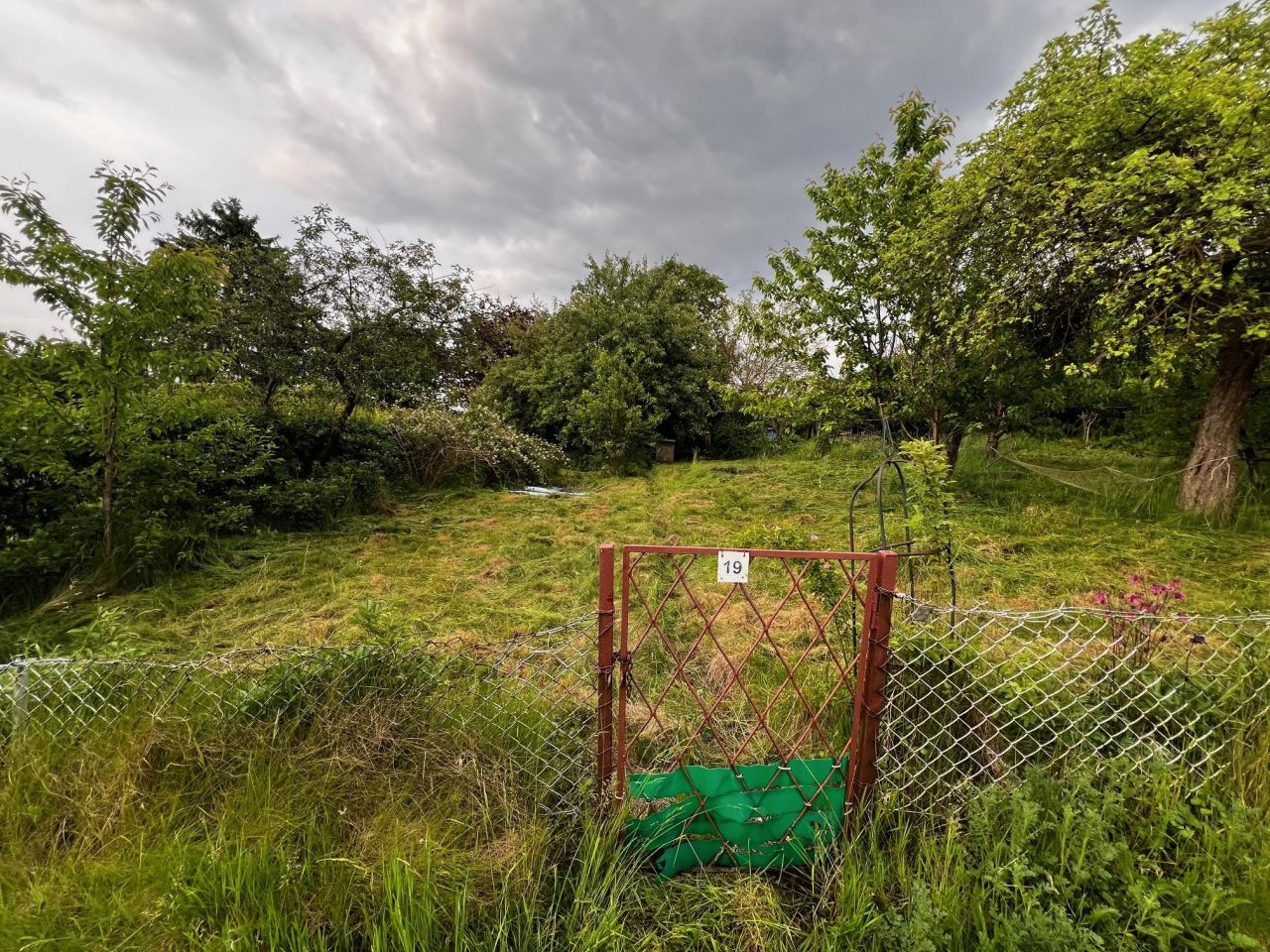 Działka rod Elbląg, ul. Działkowa. Zdjęcie 4