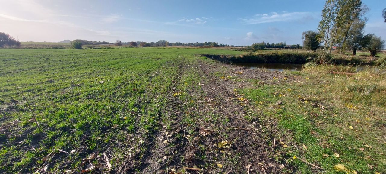 Działka rolna Mikołajew. Zdjęcie 3