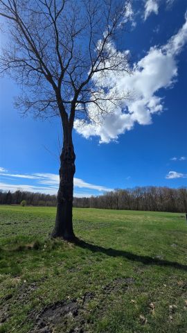 Działka budowlana Lędziny, ul. Zamoście. Zdjęcie 3