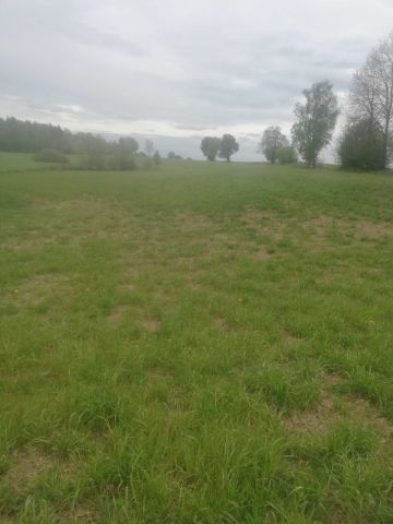 Działka rolna Lipia Góra Mała Królewski Bukowiec. Zdjęcie 1