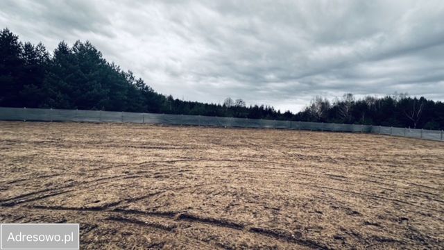 Działka rolna Leśna Grobla. Zdjęcie 1