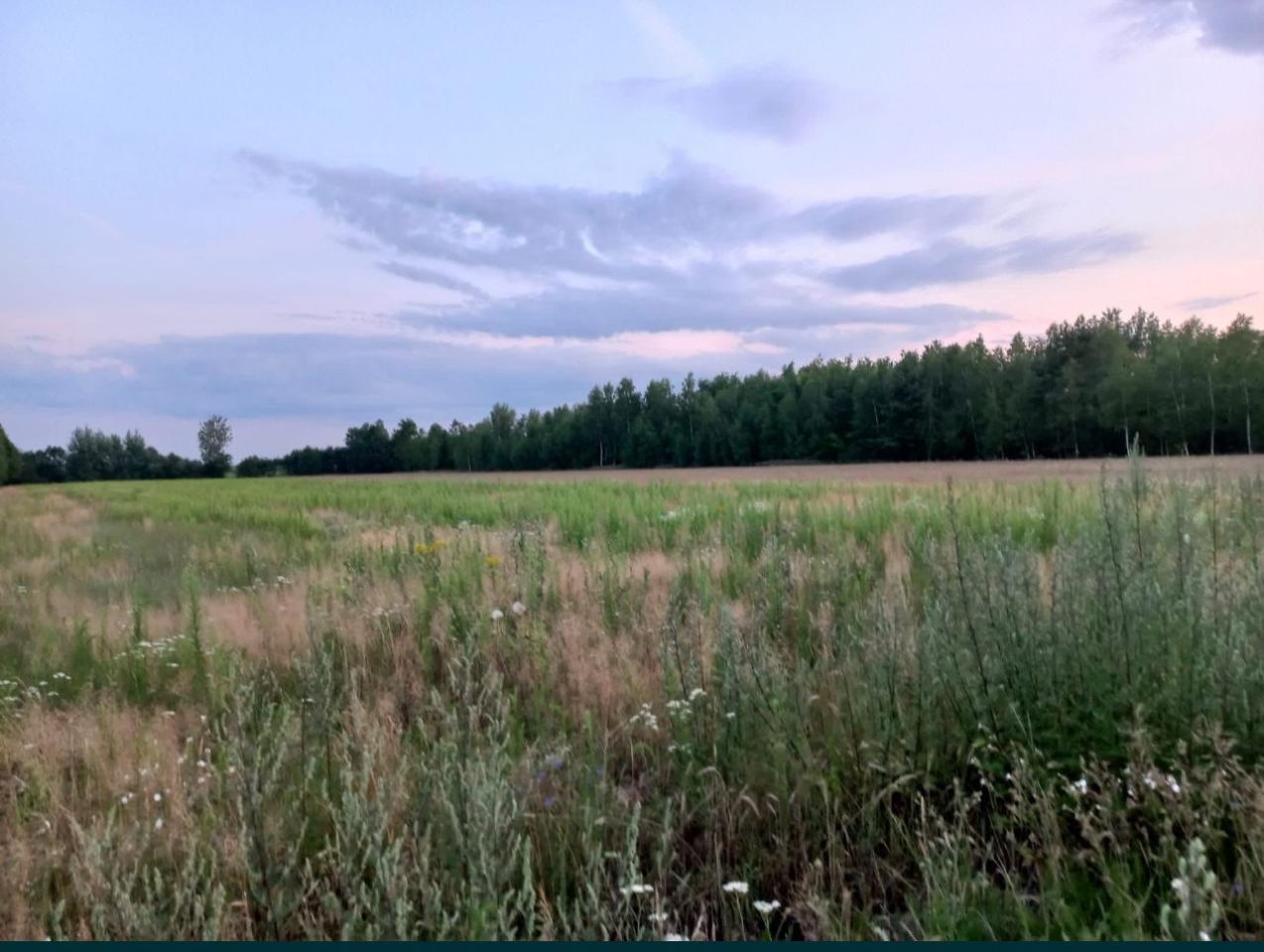 Działka rolna Pomiary. Zdjęcie 4