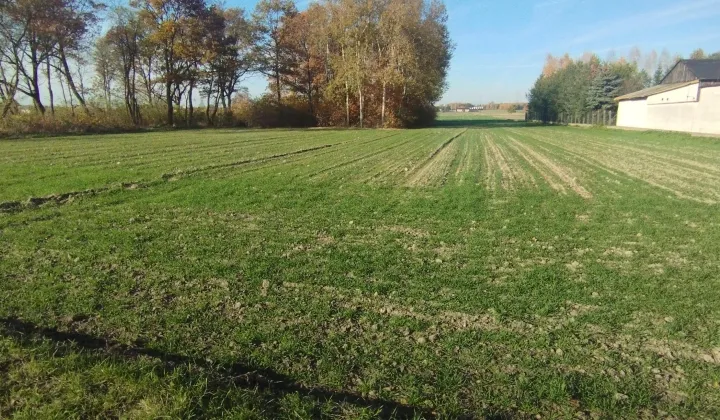 Działka rolna Łódź Bronisin, ul. Paprociowa