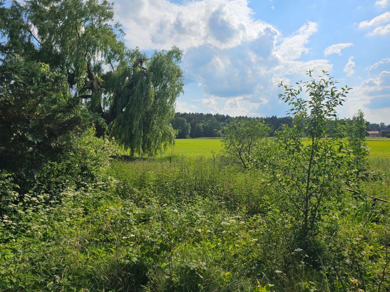 siedlisko, 3 pokoje Wólka Orłowska. Zdjęcie 14