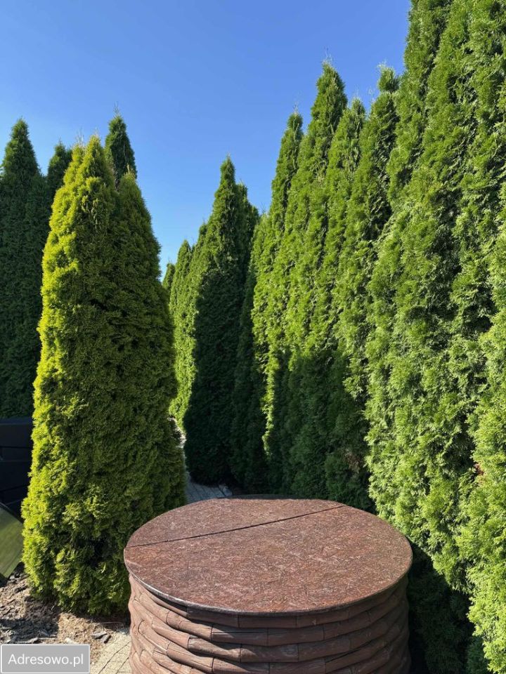 Działka budowlana Płock Borowiczki-Cukrownia, ul. Borowicka. Zdjęcie 3