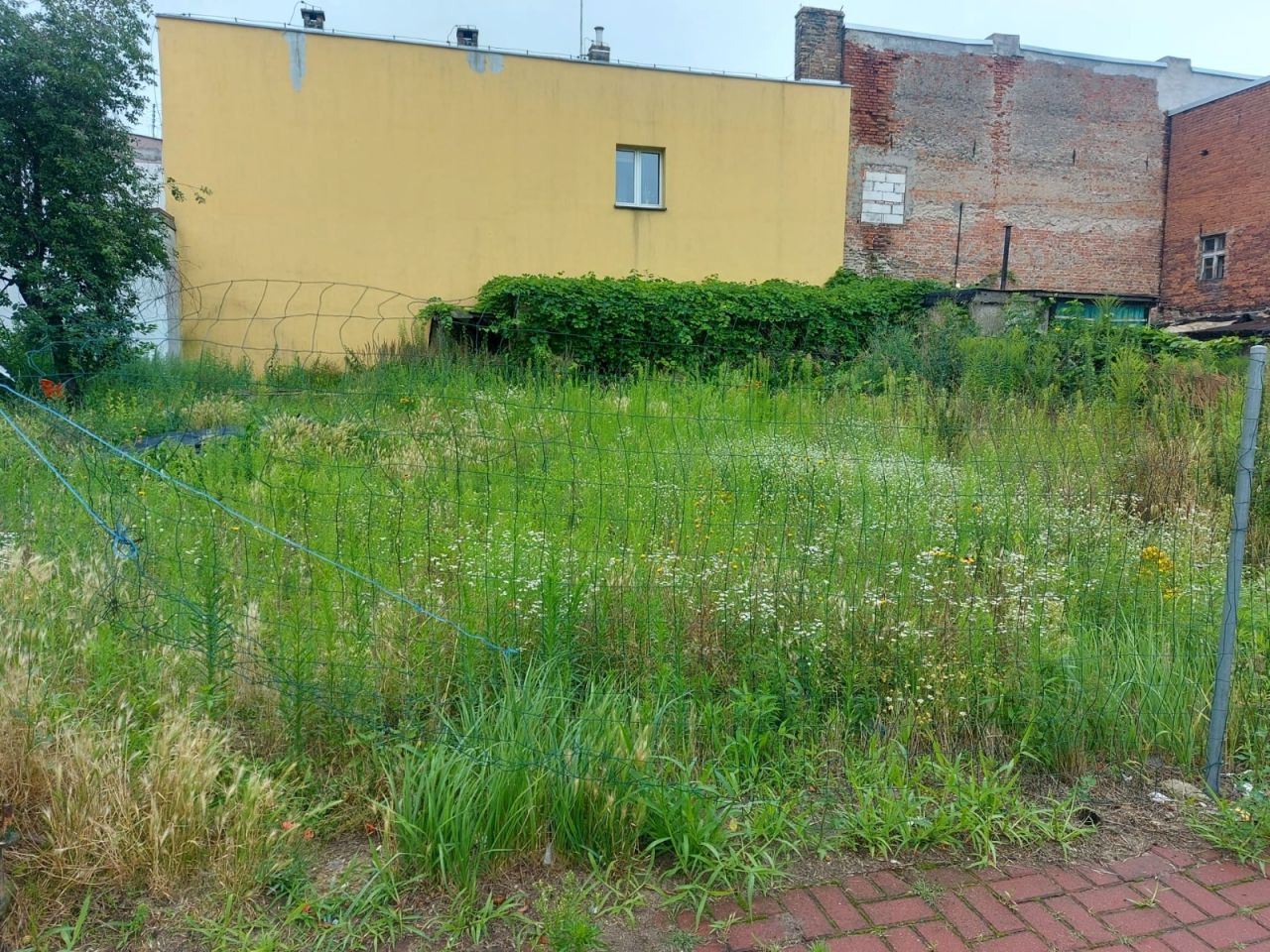 Działka budowlana Strzelce Krajeńskie Centrum, ul. Katedralna
