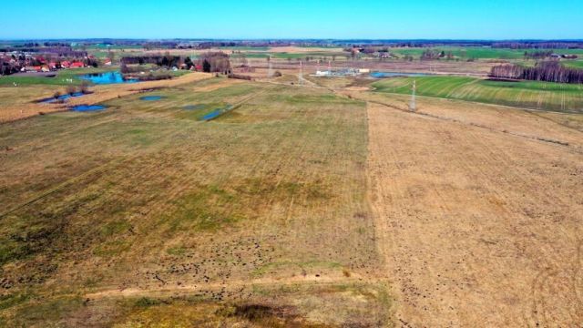 Działka rolna Siedliska. Zdjęcie 9