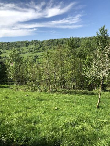 Działka rolna Szare. Zdjęcie 1