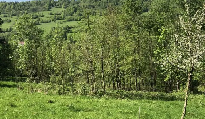 Działka rolna Szare