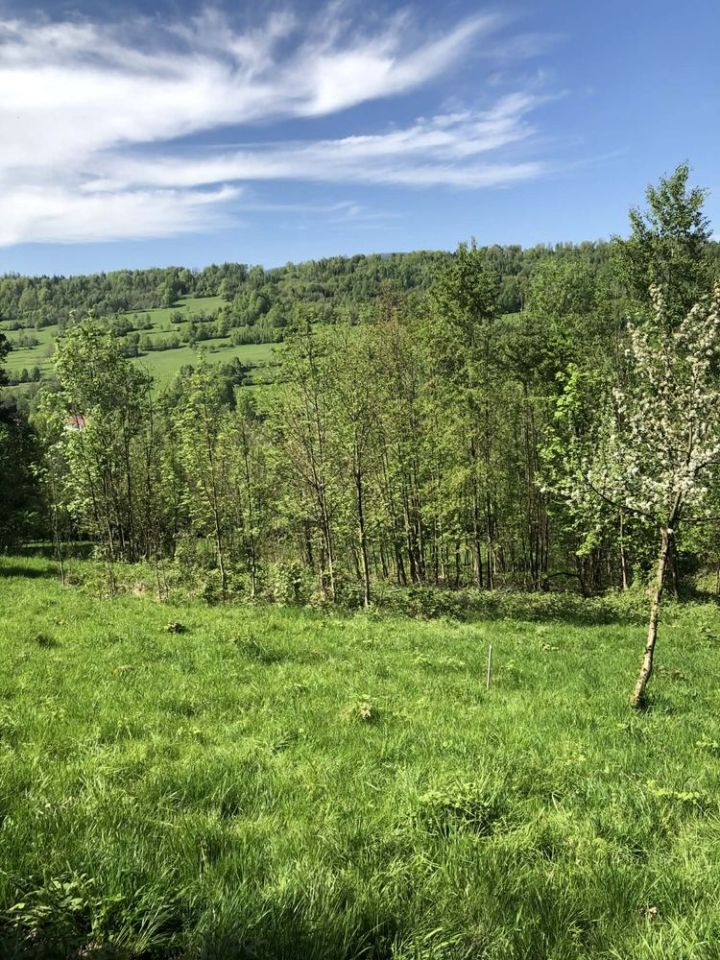 Działka rolna Szare. Zdjęcie 1