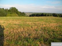 Działka budowlana Wielopole Skrzyńskie. Zdjęcie 2