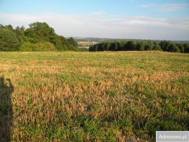 Działka budowlana Wielopole Skrzyńskie. Zdjęcie 3