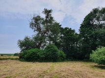 Działka rolna Głęboka. Zdjęcie 4