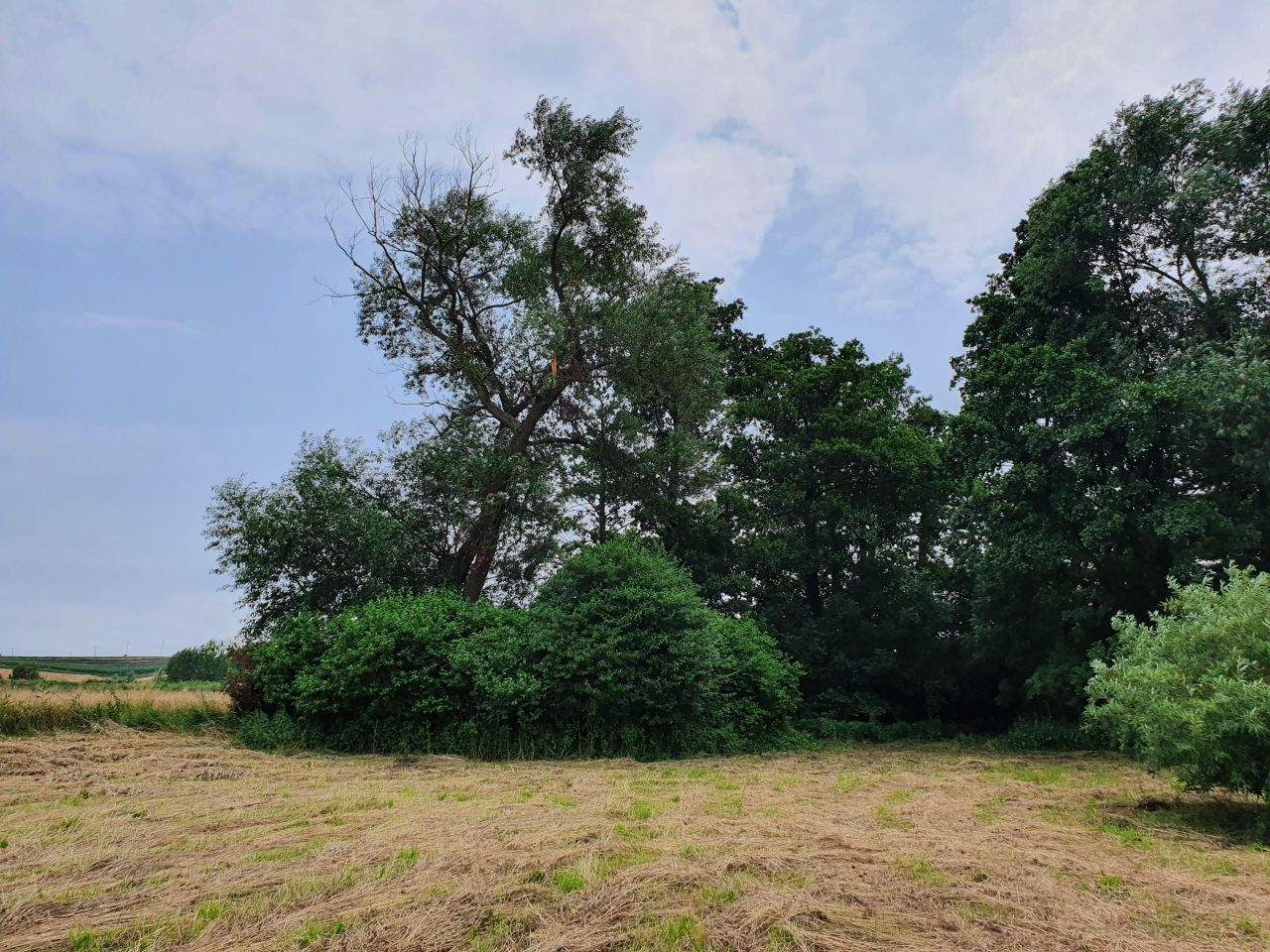 Działka rolna Głęboka. Zdjęcie 5