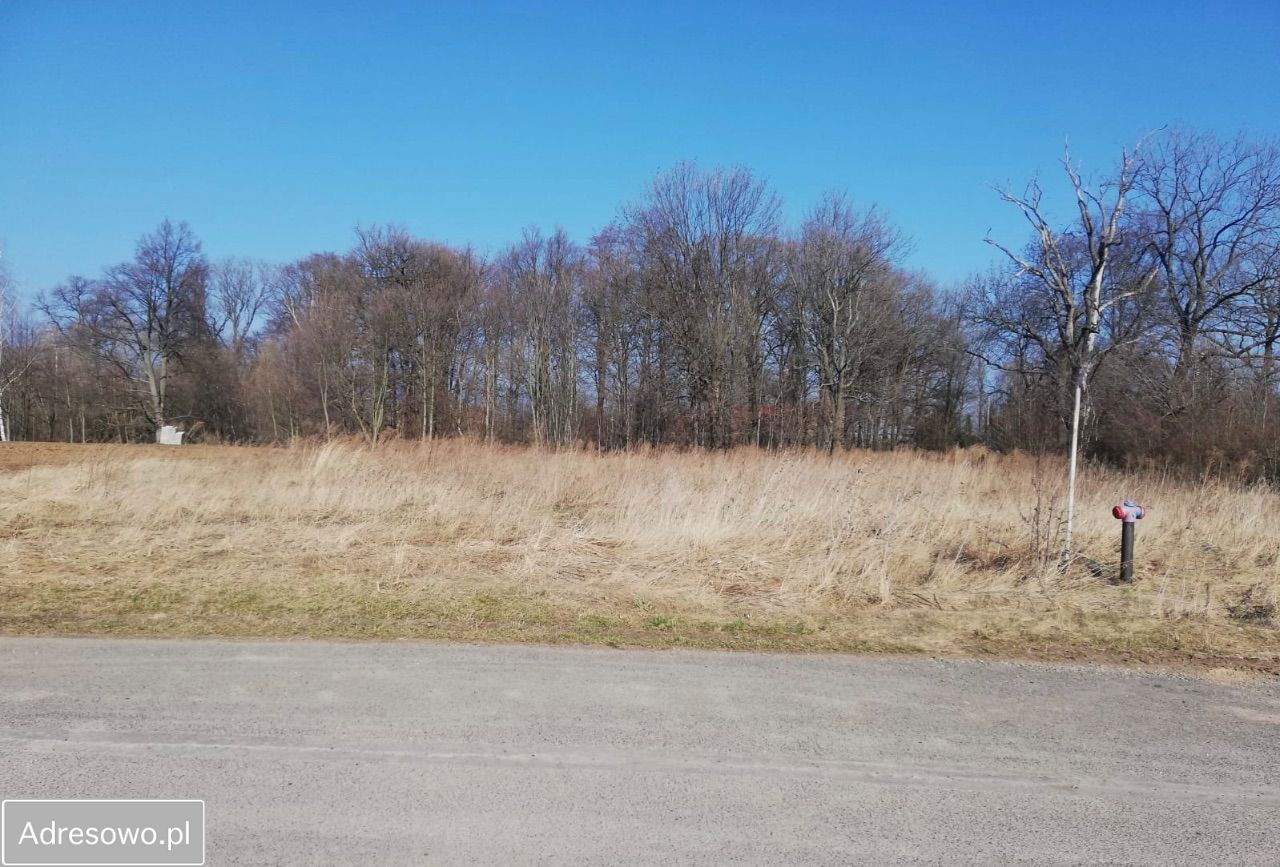 Działka budowlana Wiadrów. Zdjęcie 6