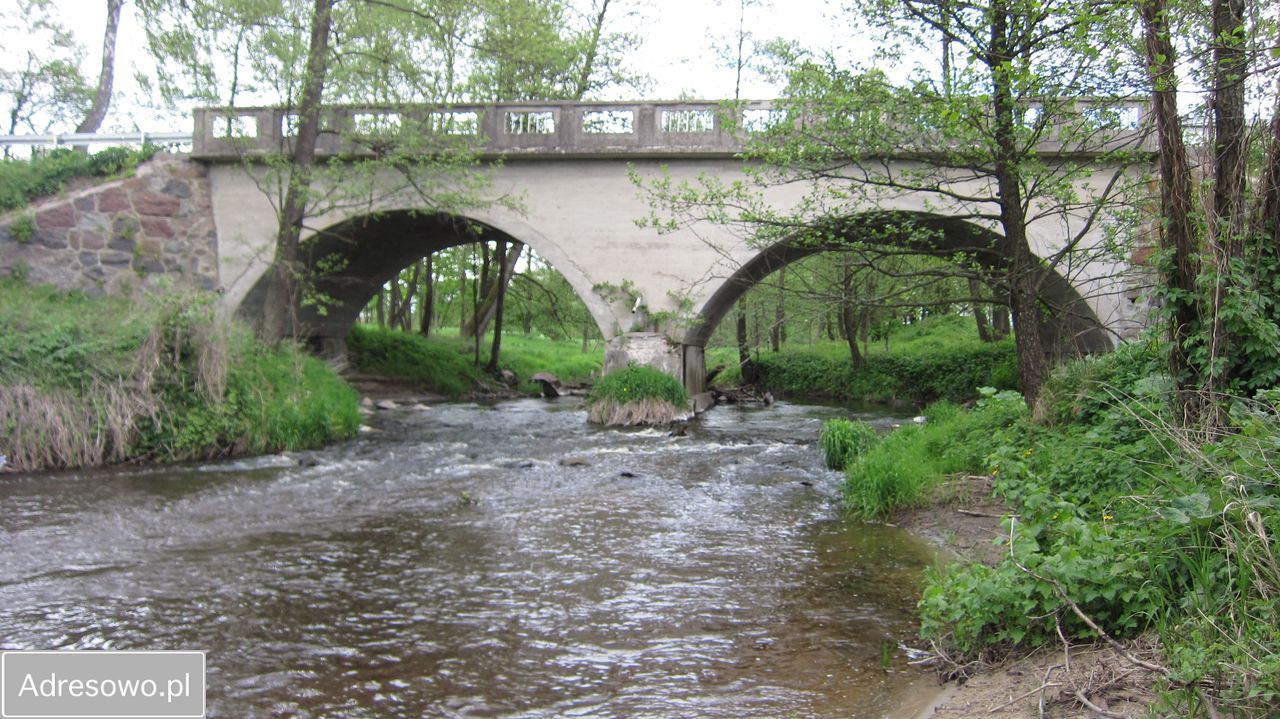 siedlisko Bornity. Zdjęcie 4