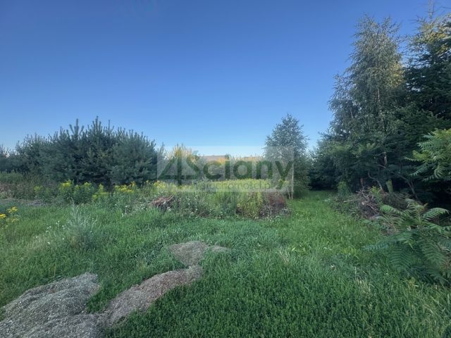 Działka budowlana Wieliszew. Zdjęcie 5