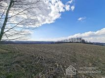 Działka Bodzanów. Zdjęcie 4