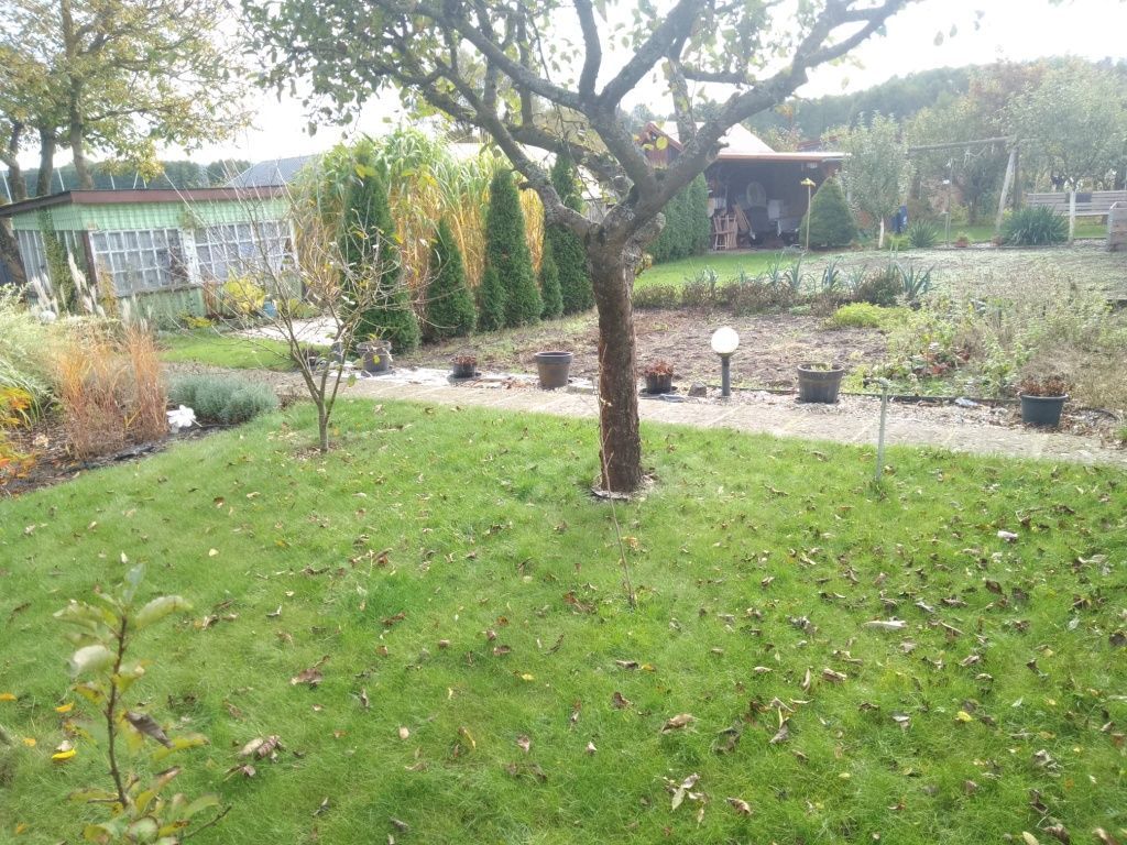 Działka rod Bytów, ul. Brzozowa. Zdjęcie 4