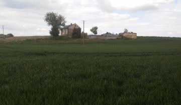 dom wolnostojący Prusy