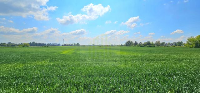 Działka budowlana Bieniewice, ul. Słowicza. Zdjęcie 10