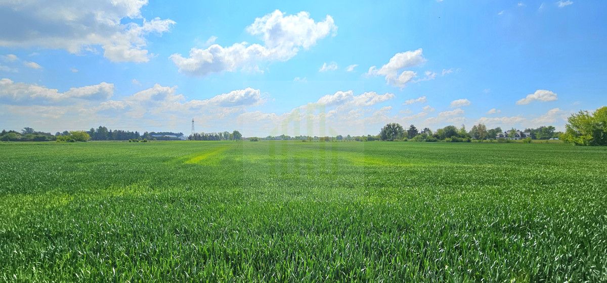Działka budowlana Bieniewice, ul. Słowicza. Zdjęcie 10