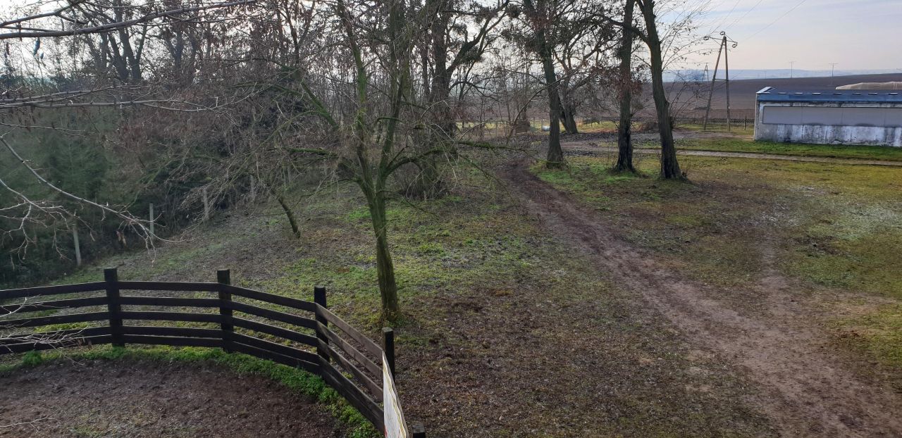 Hala/magazyn Witnica, ul. Chojeńska. Zdjęcie 11