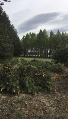 Działka budowlana Bryńsk. Zdjęcie 1