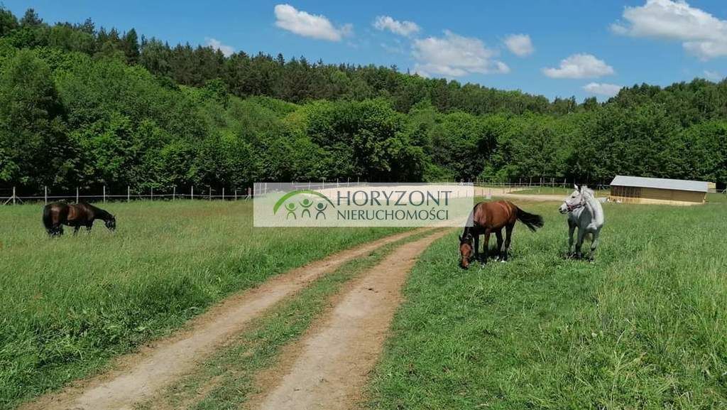 Działka budowlana Łebno. Zdjęcie 6