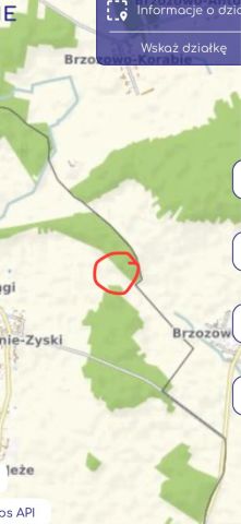 Działka rolna Łopienie-Szelągi. Zdjęcie 1